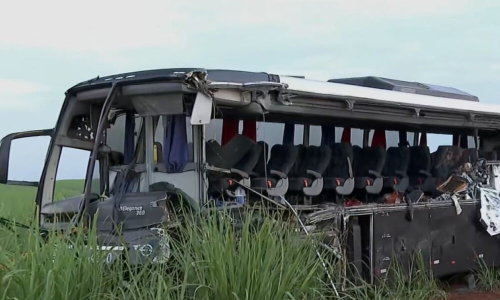 Acidente com ônibus universitário e carreta deixa 12 mortos em SP