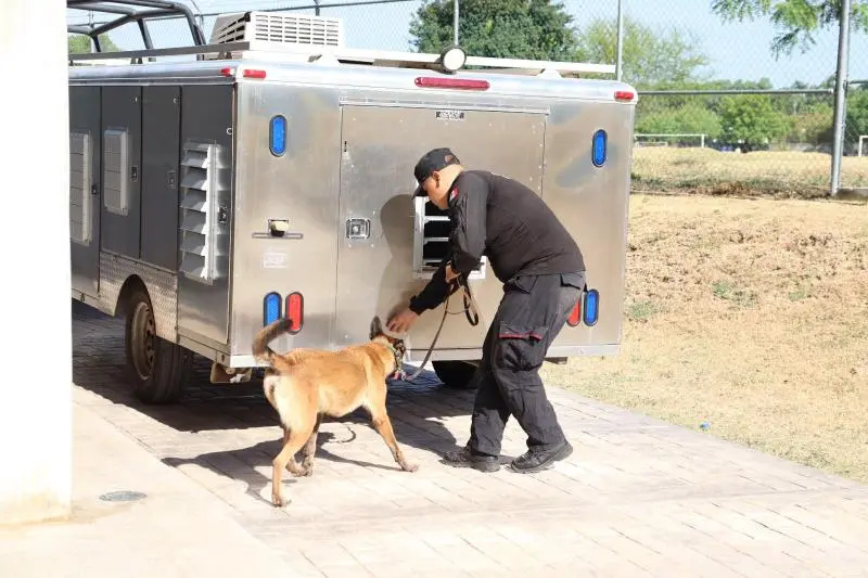 Obtienen binomios K-9 de la Guardia Estatal primeros lugares de su especialidad en certificación canina