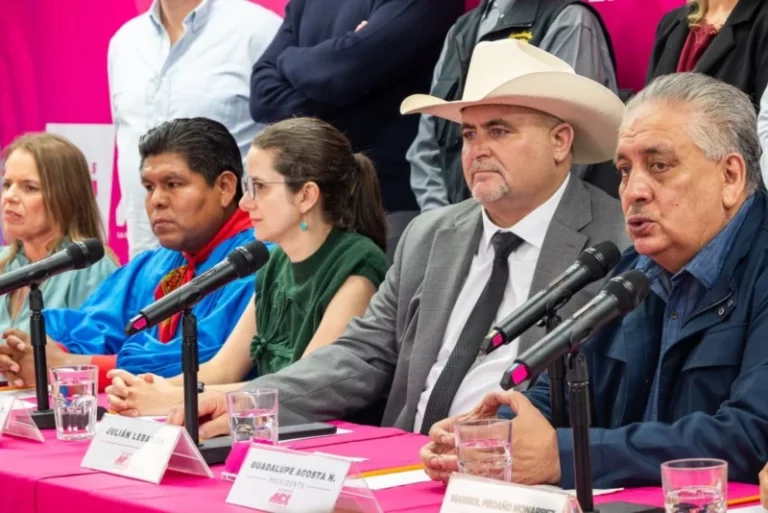 Somos México, obligado a cambiar de nombre, logo y color antes del 30 de agosto