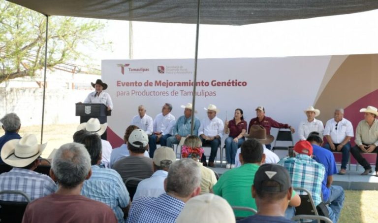 Acerca Tamaulipas ejemplares de alta calidad genética a ganaderos de El Mante