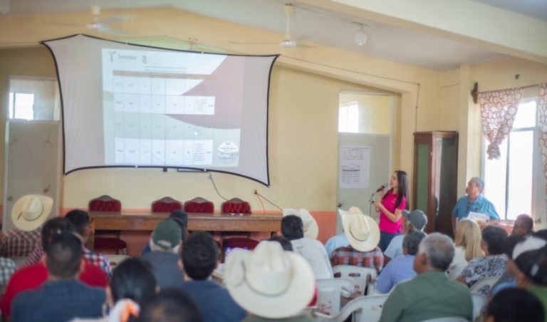 Brindan a productores herramientas para mejorar la fertilidad de los suelos citrícolas