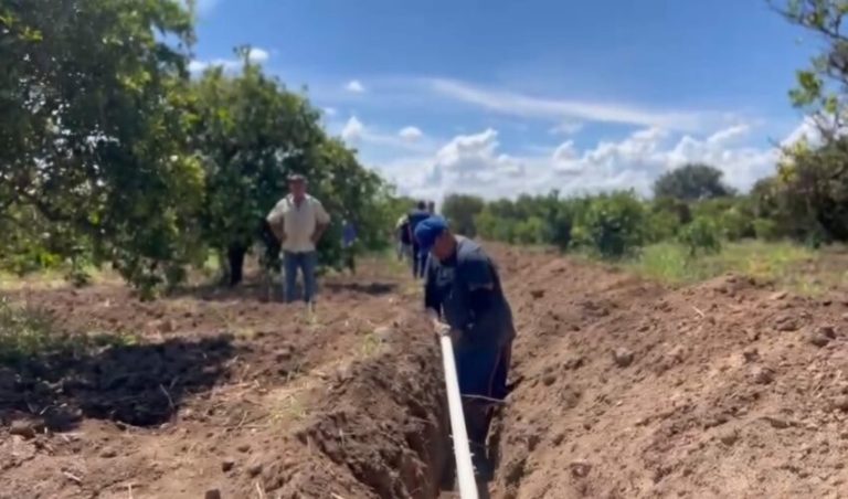 Aplican herramientas técnicas de riego a productores tamaulipecos de la zona citrícola