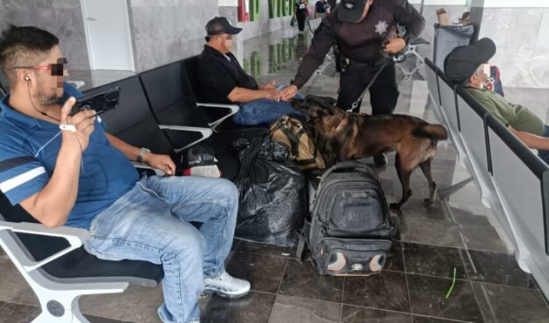 Binomios K-9 de la Guardia Estatal refuerzan la seguridad en Central de Autobuses de Ciudad Victoria