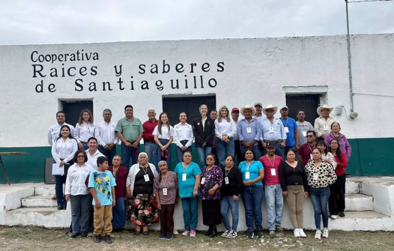 La UAT consolida proyecto de aprovechamiento del laurel para el emprendimiento rural