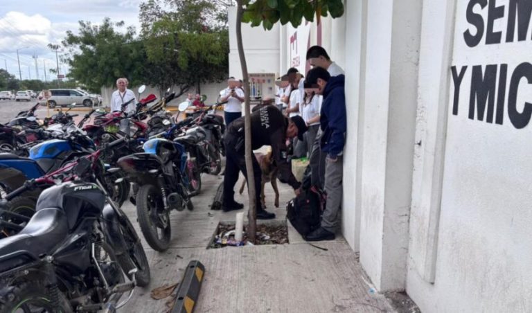 Realiza el Agrupamiento Canino de la Guardia Estatal inspección preventiva en el ITACE Victoria