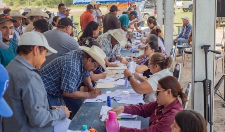 Abre gobierno de Américo ventanilla de apoyo para productores de sorgo y trigo
