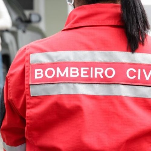 Supremo invalida partes de Lei que regulamenta profissão de bombeiro civil em Rondônia