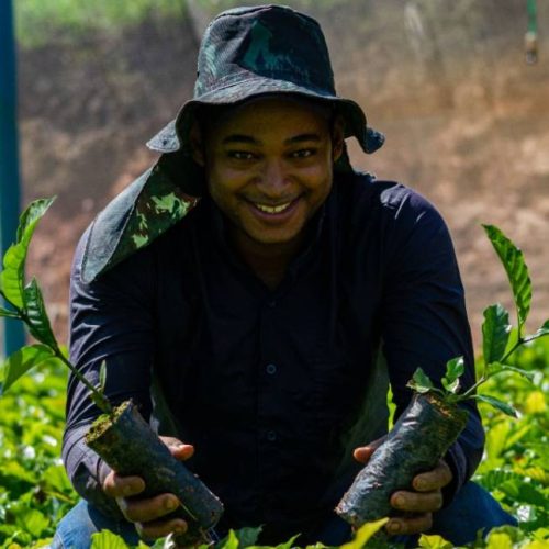 Governo de RO institui Programa Estadual Jovem Empreendedor Rural para fortalecer a juventude no campo