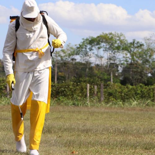 DEFENSIVOS AGRÍCOLAS: Governo de Rondônia intensifica trabalho de conscientização sobre os riscos do uso indiscriminado de agrotóxicos