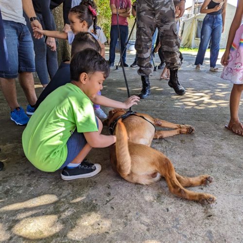 Crianças autistas participam de sessão de terapia com cães do Bope em Macapá | Amapá